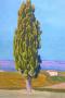 1807596-6a7c7fa6c63af.jpg