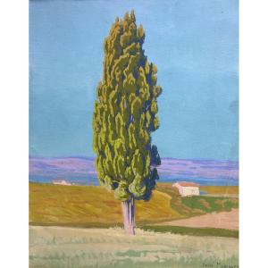 André Morisset (1876-1954), Paysage au Pin, dessin, gouache