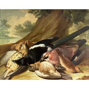 Franz Stöber (Vienne 1760- Spire1834), Nature morte aux oiseaux chassés, huile sur papier, 1785
