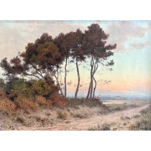 Henri Besiné (1889–1976), The Grove At Carnon Near Montpellier, Oil On Canvas