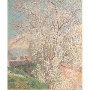 Ernest MOULINES (1870-1942) Arbre en fleurs