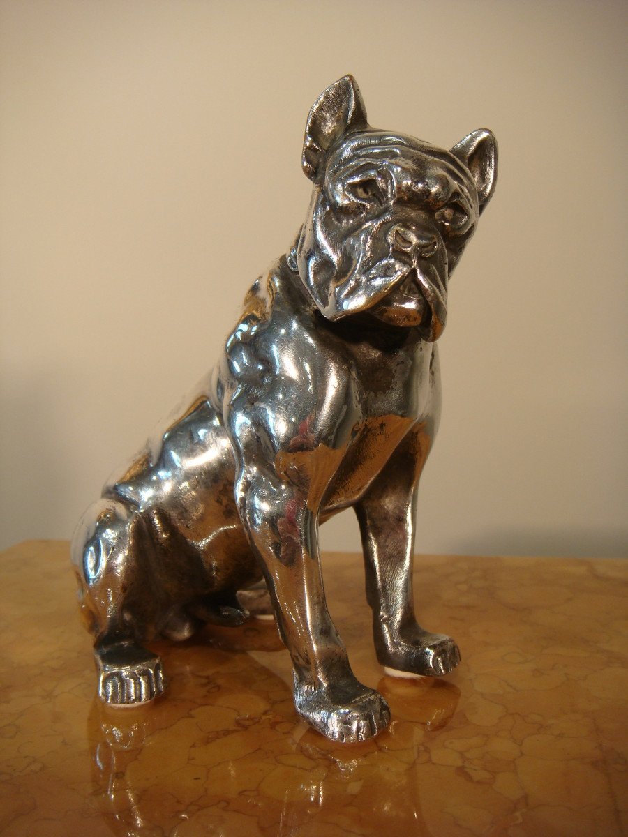 Bulldog Sculpture In Silver Bronze Bourcart - Period Circa 1930 -photo-2
