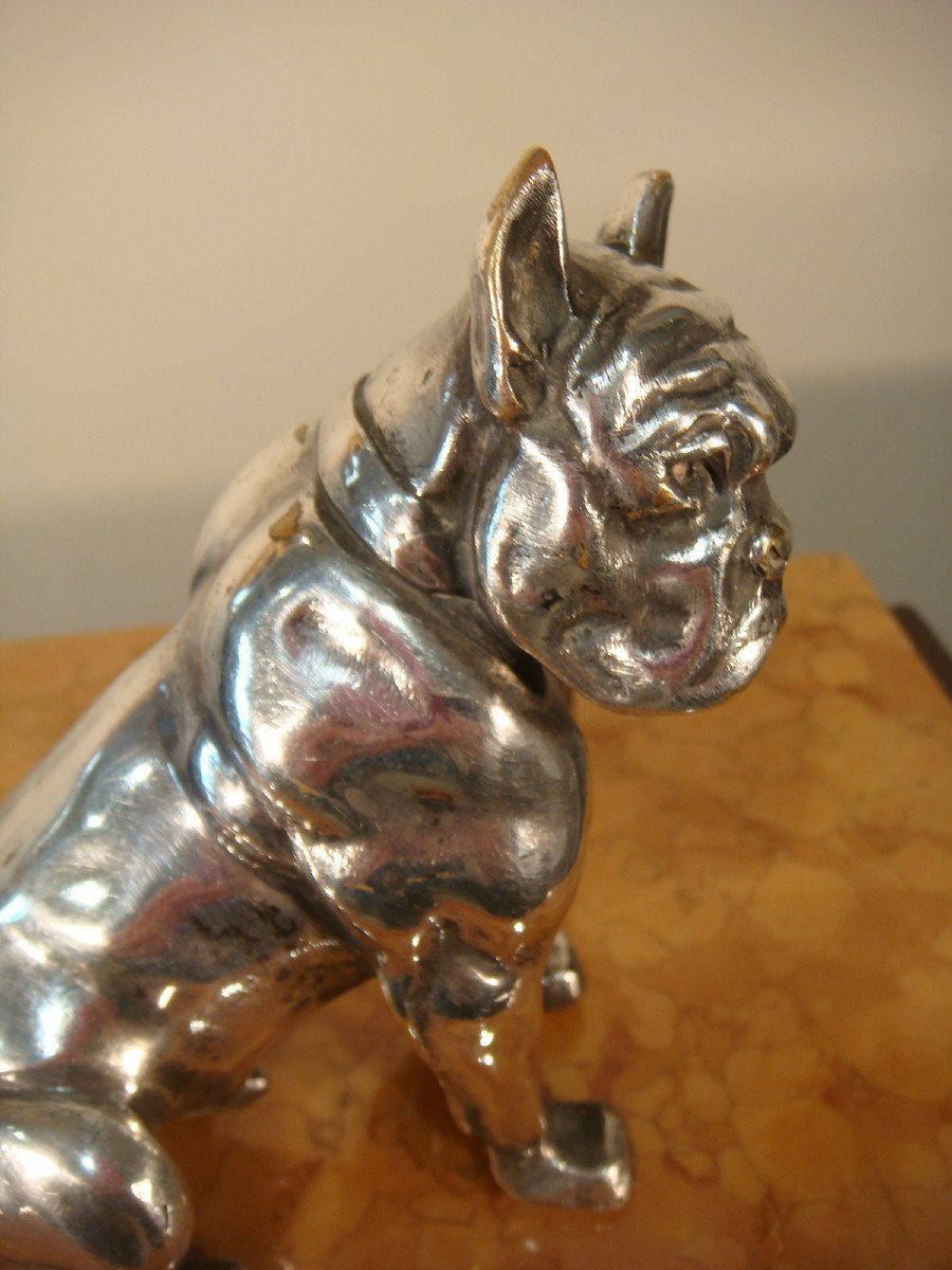 Sculpture Bulldog En Bronze Argente Bourcart - Epoque Vers 1930 -photo-5