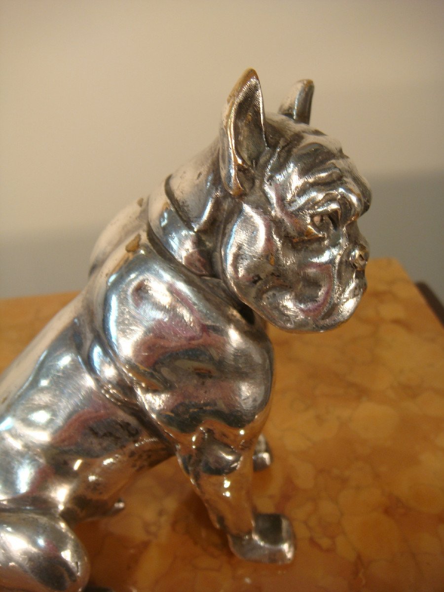 Bulldog Sculpture In Silver Bronze Bourcart - Period Circa 1930 -photo-5