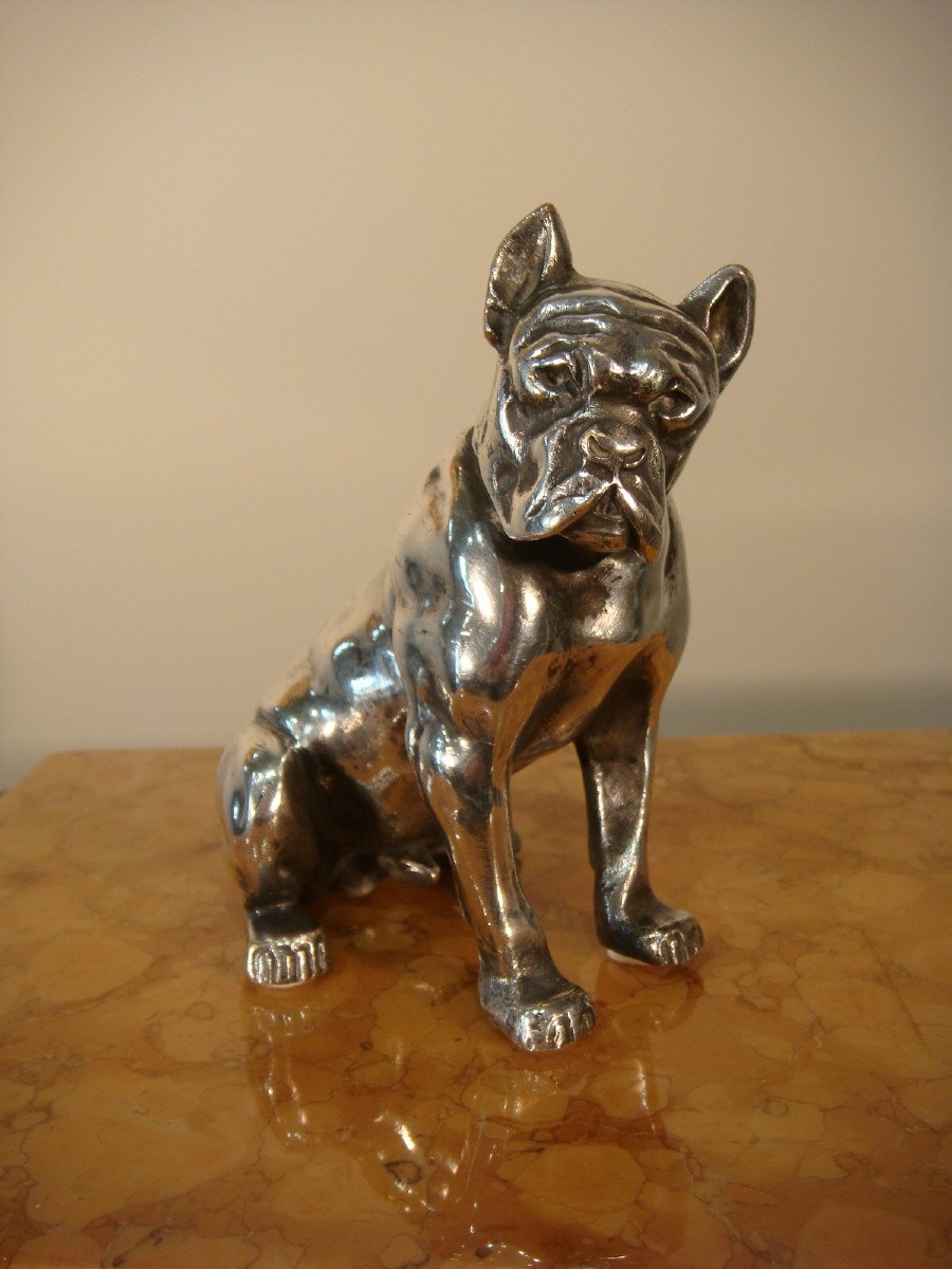 Bulldog Sculpture In Silver Bronze Bourcart - Period Circa 1930 -photo-2