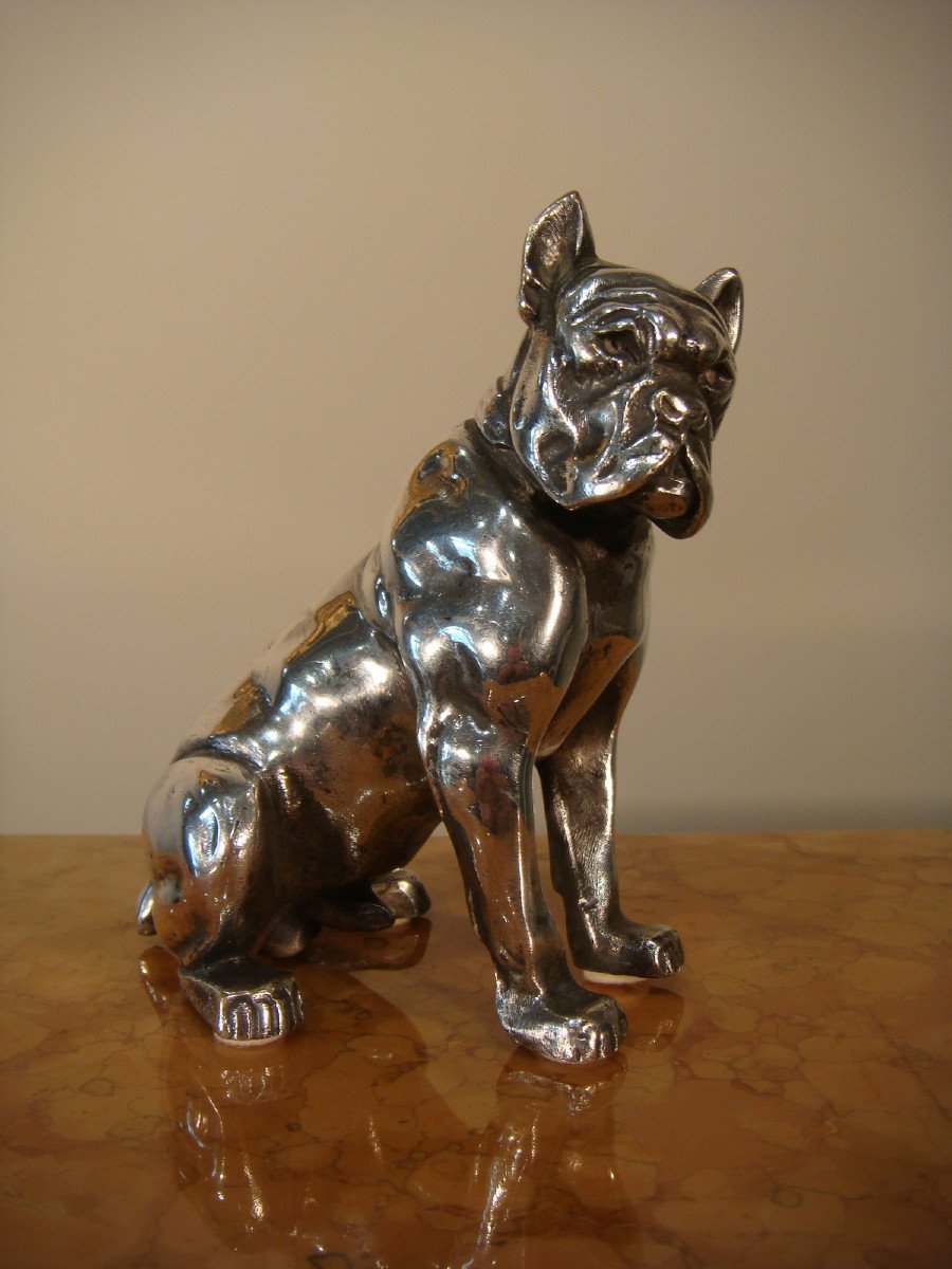 Sculpture Bulldog En Bronze Argente Bourcart - Epoque Vers 1930 