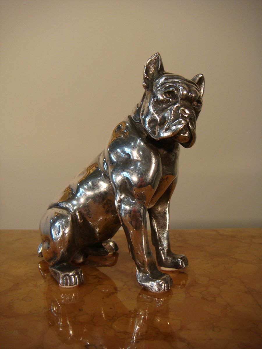 Bulldog Sculpture In Silver Bronze Bourcart - Period Circa 1930 