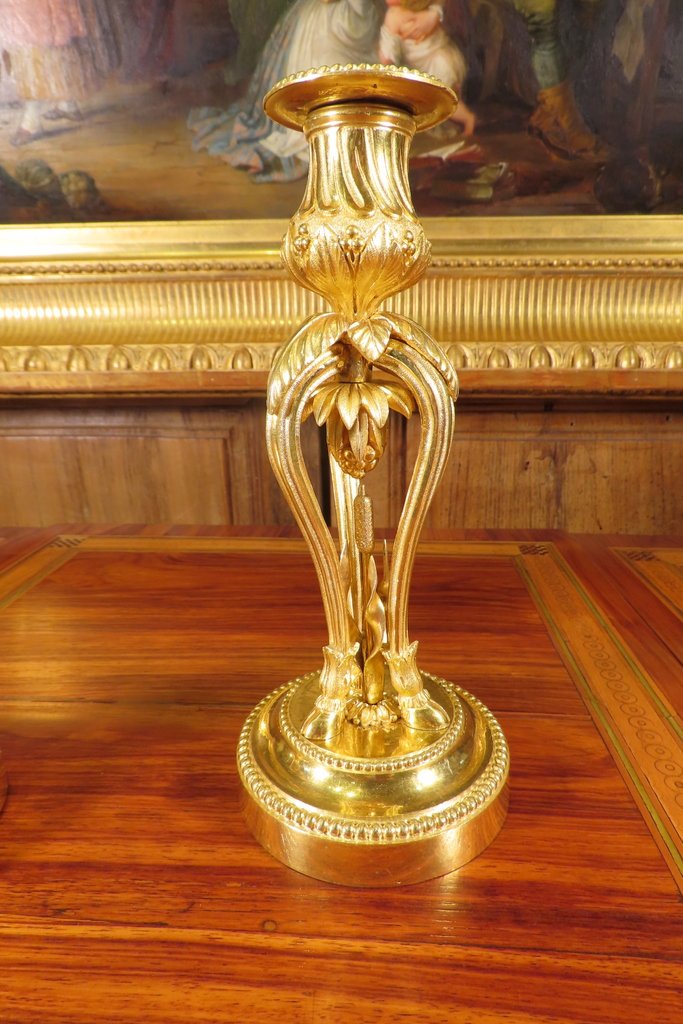 PAIRE DE BOUGEOIRS LAMPES EN BRONZE DORE Style Louis XVI -photo-3