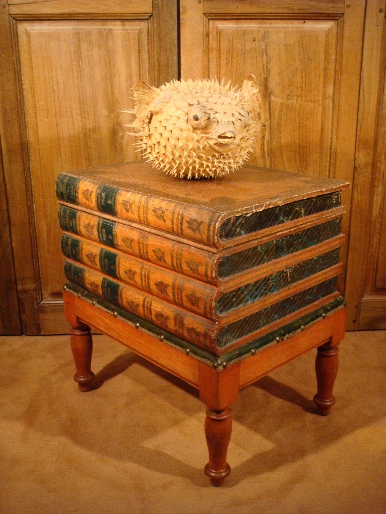 CURIEUX PETIT MEUBLE D’AISANCES DE SALON Epoque XIX ème