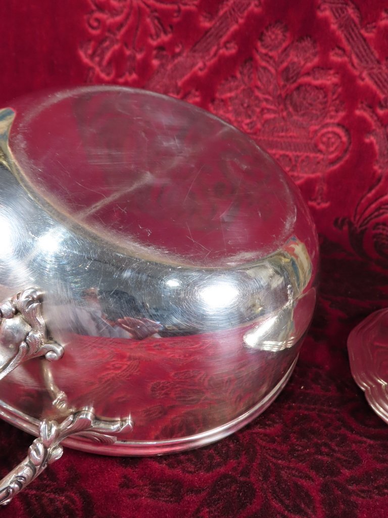 LEGUMIER ARMORIE EN ARGENT ET COURONNE DUCALE-photo-1