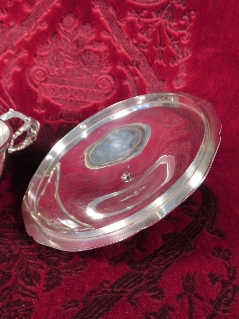 LEGUMIER ARMORIE EN ARGENT ET COURONNE DUCALE-photo-4