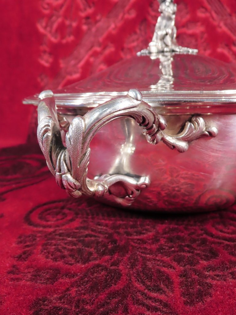 LEGUMIER ARMORIE EN ARGENT ET COURONNE DUCALE-photo-5