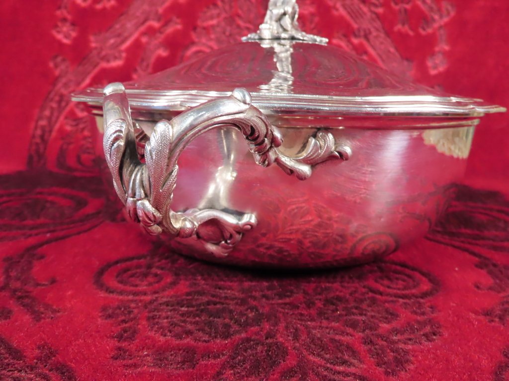 LEGUMIER ARMORIE EN ARGENT ET COURONNE DUCALE-photo-7