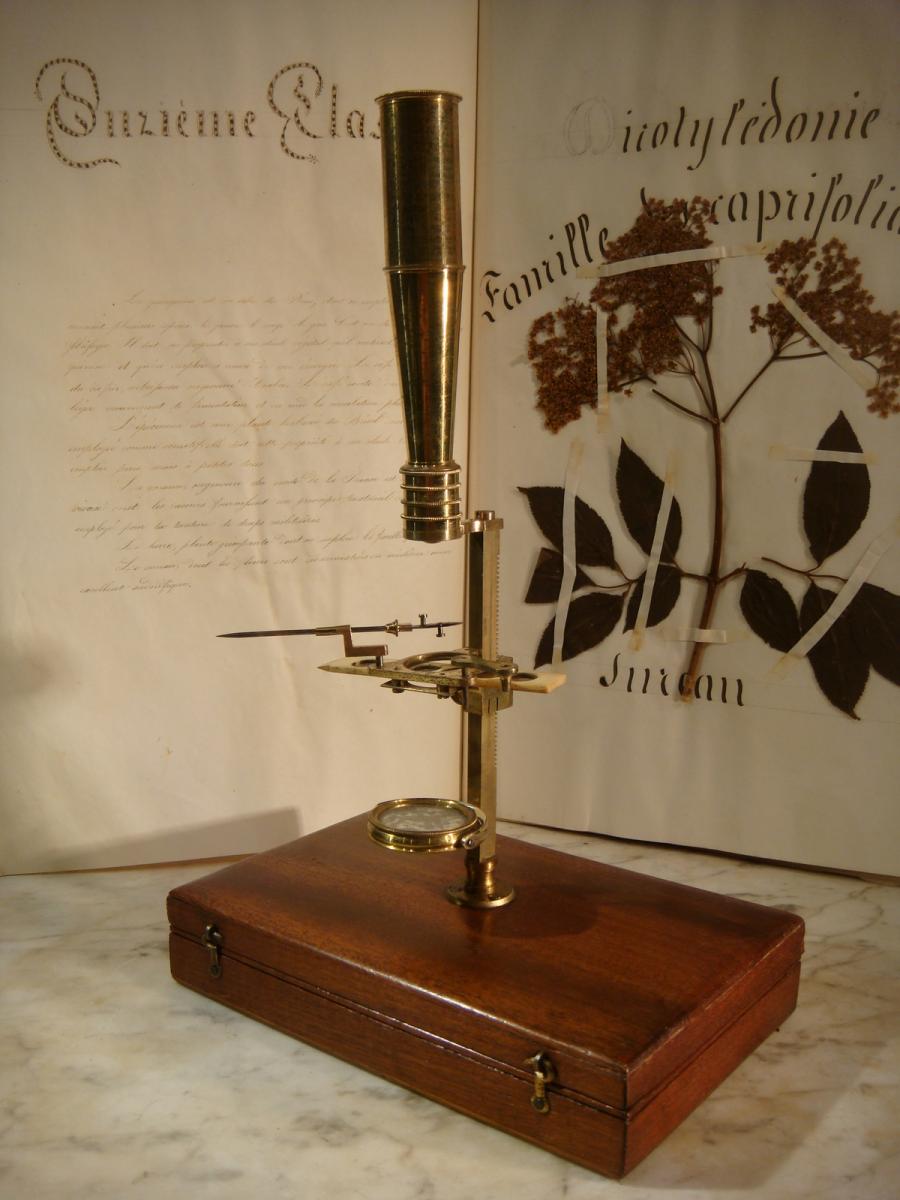 Microscope De Naturaliste Type Gary Gould - Epoque XIX ème 