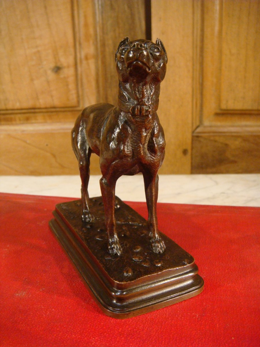 Sculpture Chien En Bronze De Dubucand-photo-3