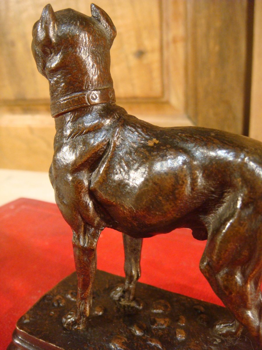 Sculpture Chien En Bronze De Dubucand-photo-7