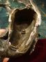 1275002-alb-65bd1ddb7883a.jpg