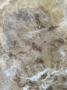 1806147-alb-6a7754c833abd.jpg