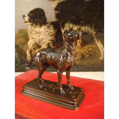 Sculpture Chien En Bronze De Dubucand