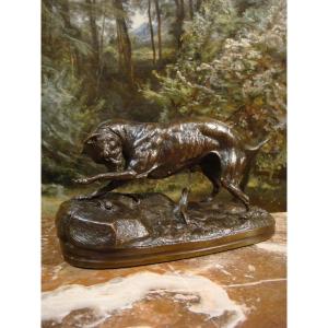 Dog Bronze Playing With A Snail Signed De Chemin