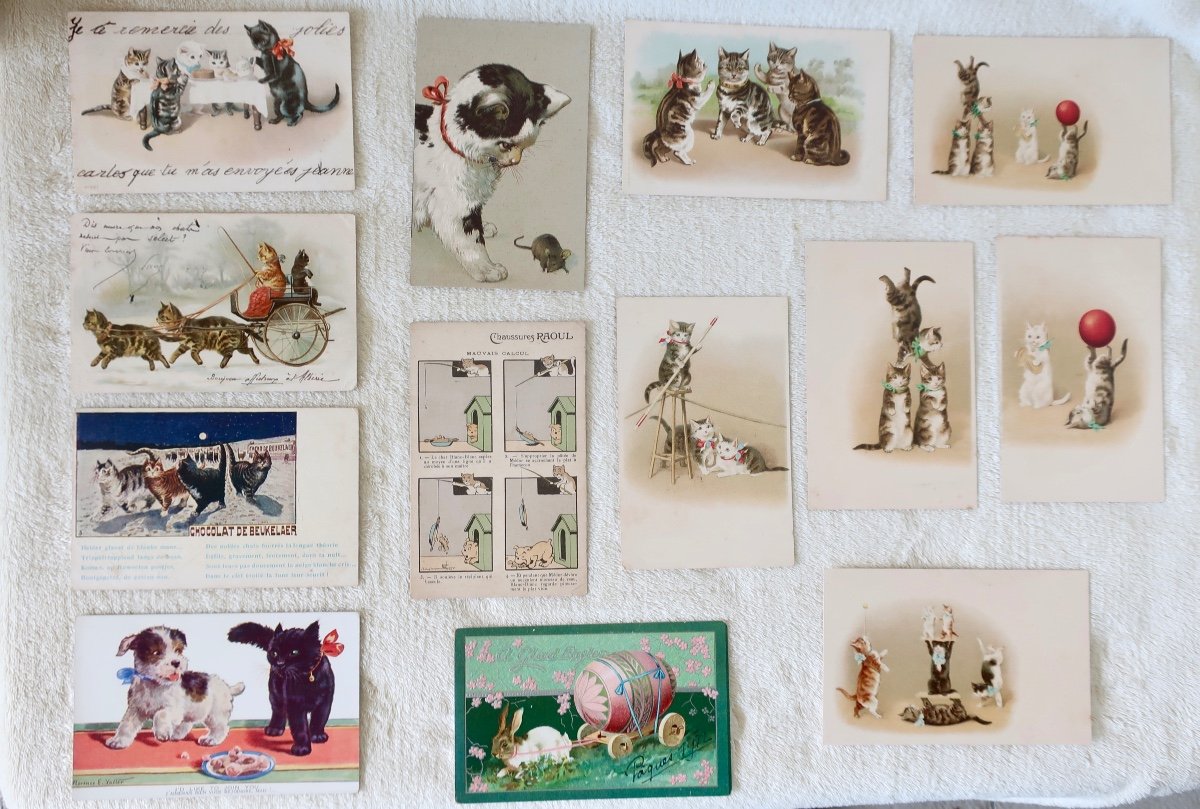 13 Postcards Cats And Animals, Helena Maguire, Advertisements... 1900-1930