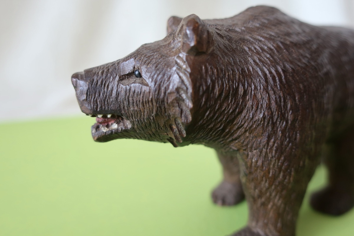 Petit Ours Forêt Noire Bois Sculpté XIXème, TBE-photo-4