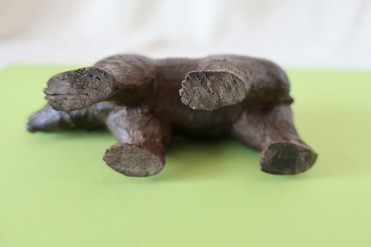 Petit Ours Forêt Noire Bois Sculpté XIXème, TBE-photo-5