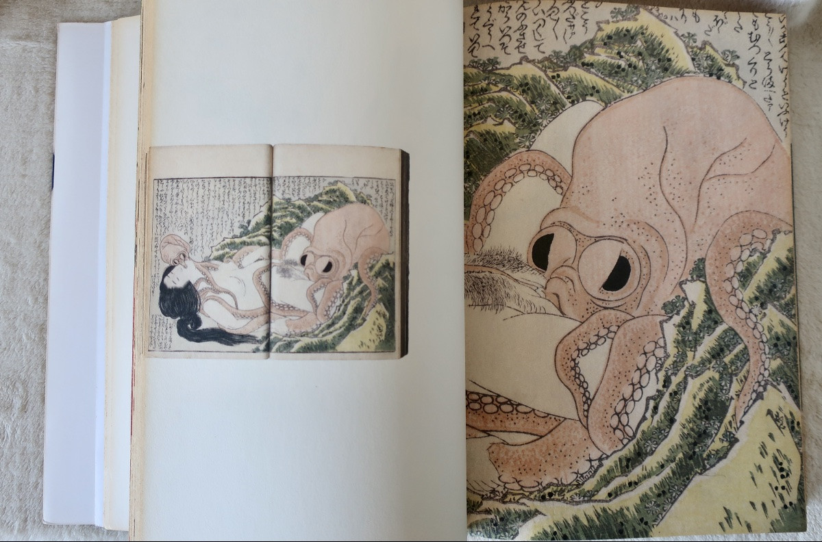 "shunga", Aesthetic Of Japanese Art... Edts De La Martinière, 586 Pages, Tbe-photo-7