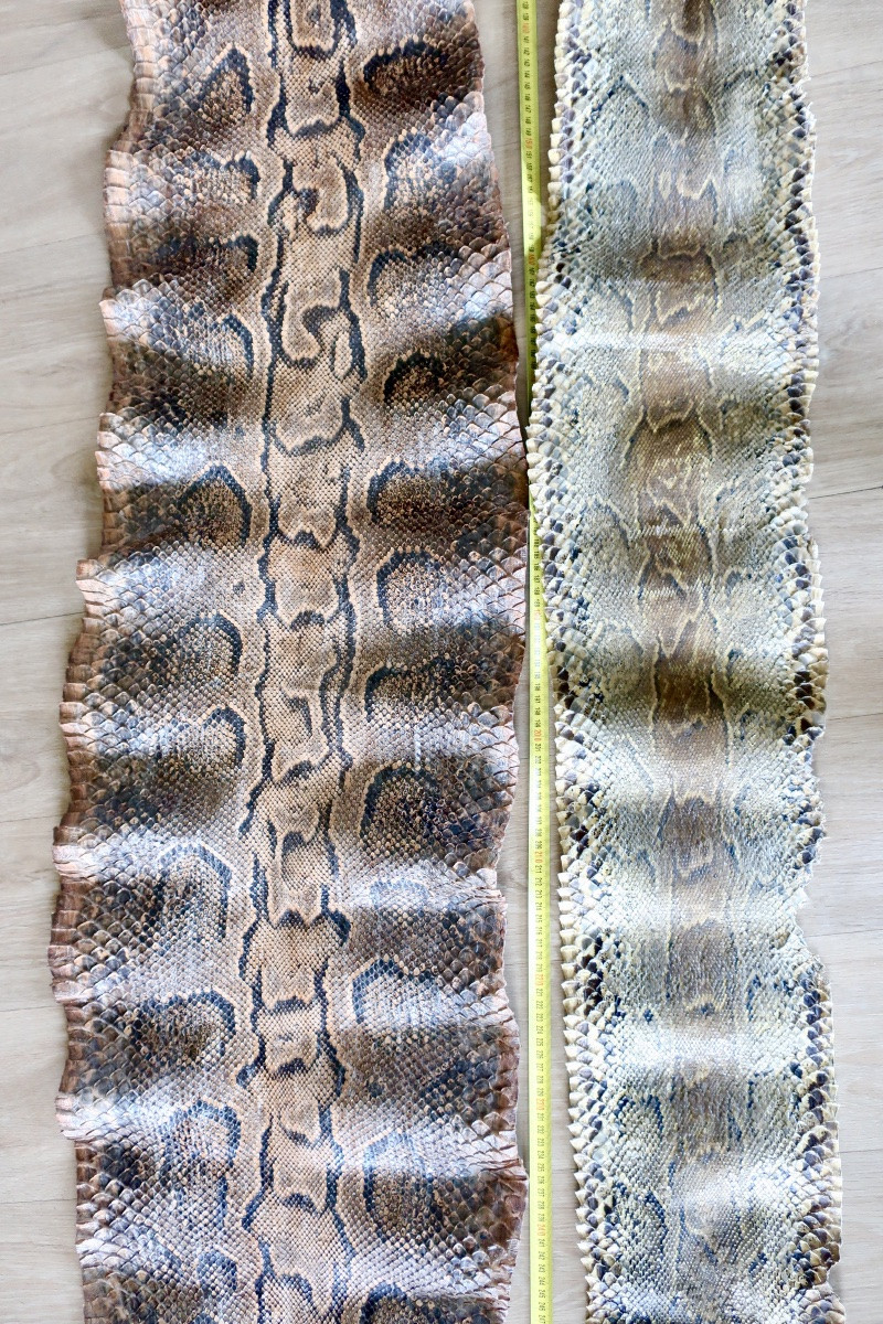 Deux Grandes Peaux de Python, 3,50 et 3,20 mètres.-photo-1