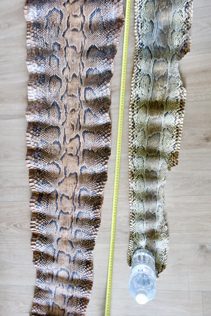 Deux Grandes Peaux de Python, 3,50 et 3,20 mètres.-photo-2