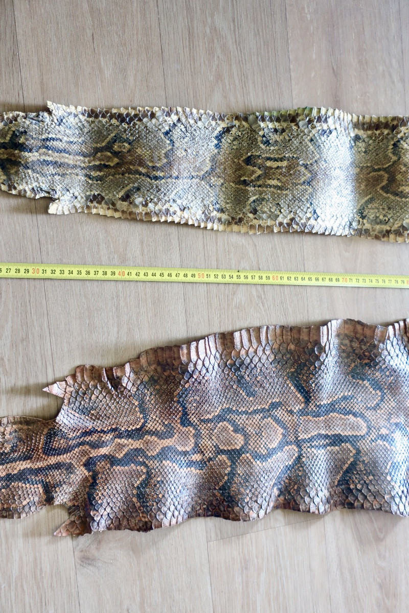 Deux Grandes Peaux de Python, 3,50 et 3,20 mètres.-photo-3
