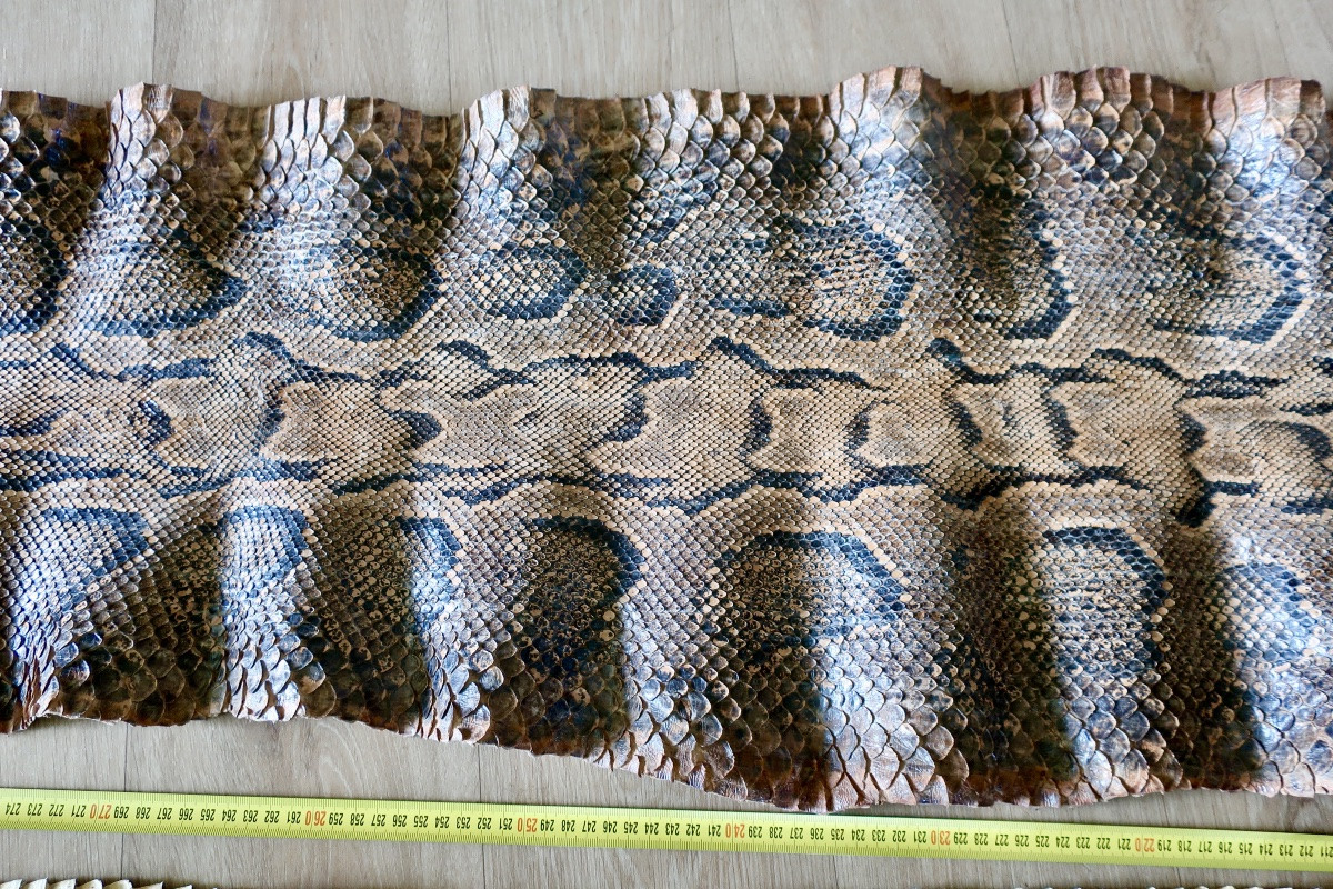 Deux Grandes Peaux de Python, 3,50 et 3,20 mètres.-photo-4