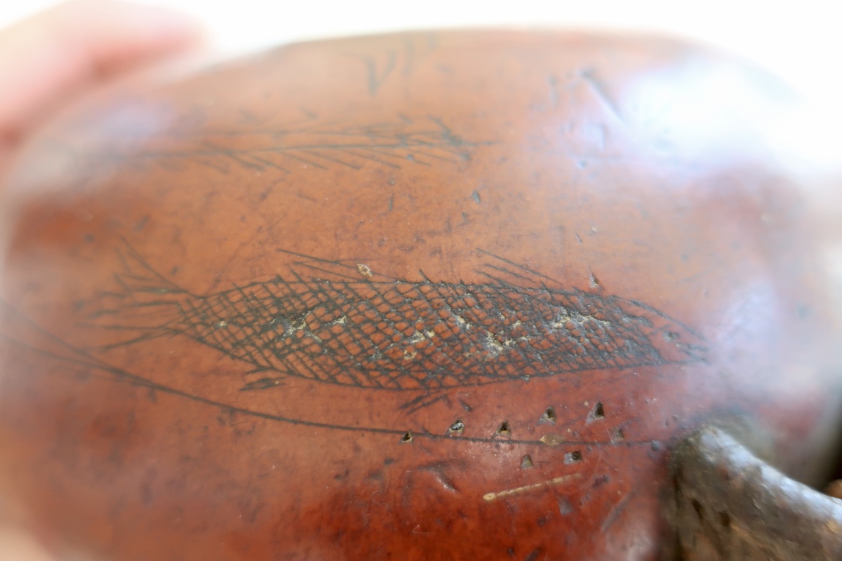 Zucca Corse: 19th Gourd Coloquinte Engraved And Figured F.b. On Escutcheon-photo-3