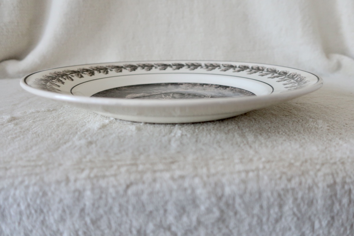 Plate By U & Cie, Sarreguemines, "nemrod" Set, 19th Century-photo-3