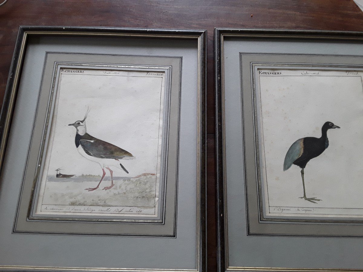 Two Watercolors Early 19th Century, Vaneau And  Agami-photo-2