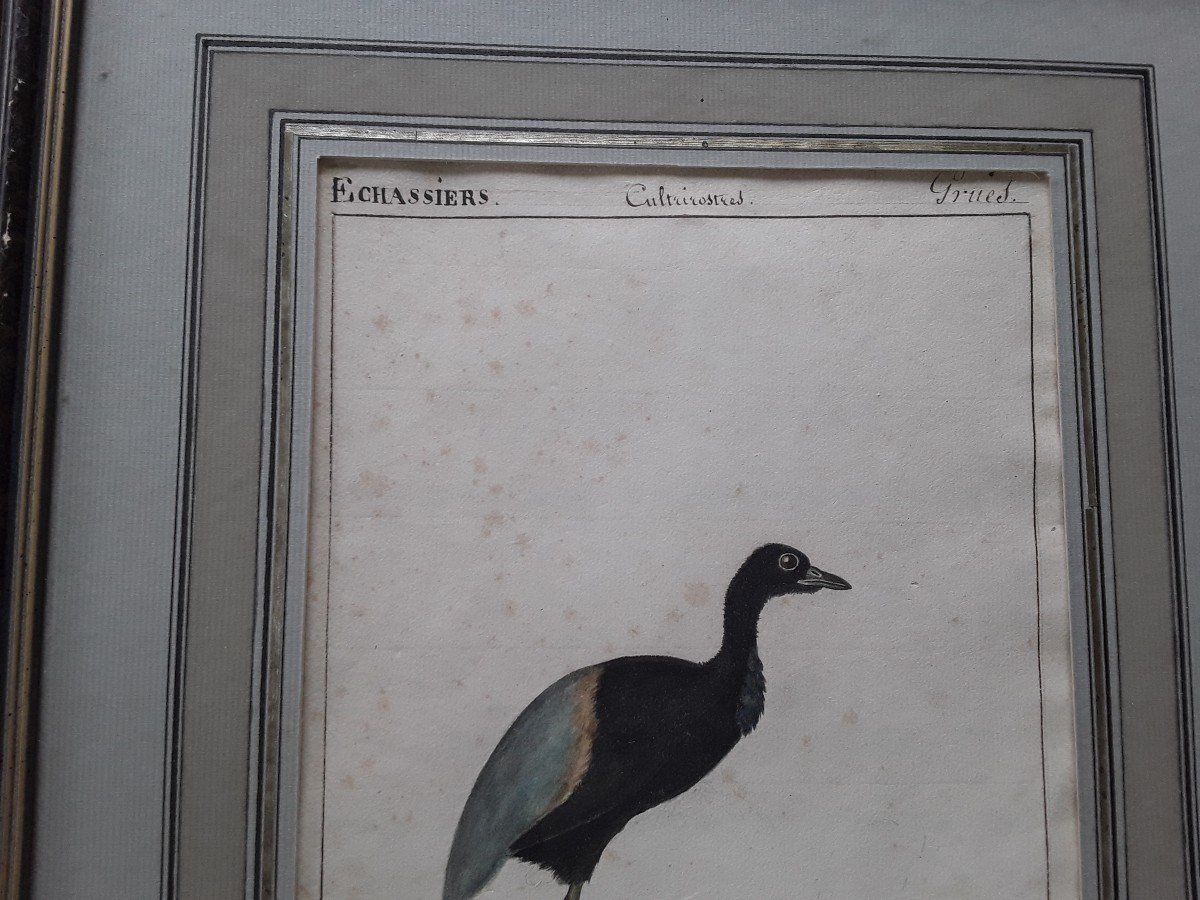 Deux Aquarelles Début Du 19eme Siecle,  Vaneau Et Orgami-photo-1