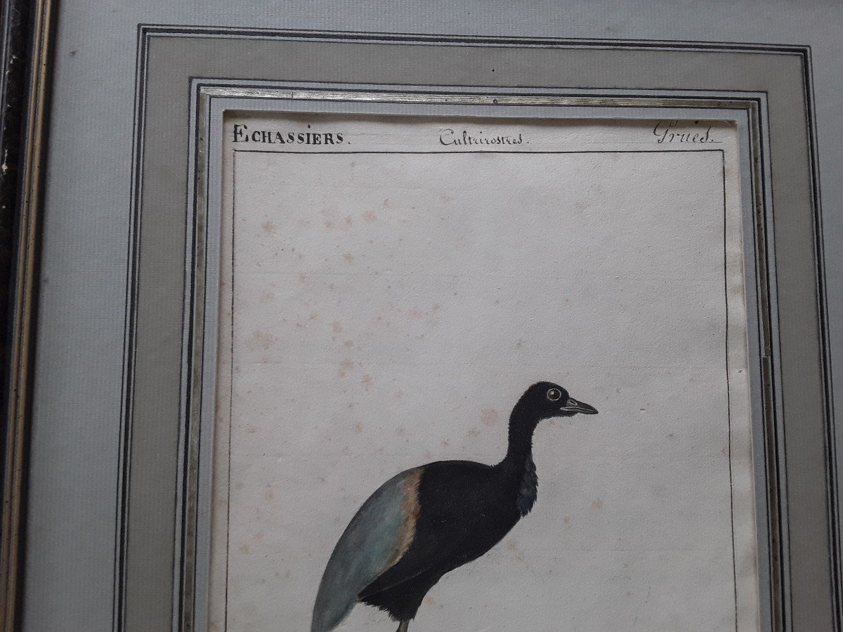 Two Watercolors Early 19th Century, Vaneau And  Agami-photo-1