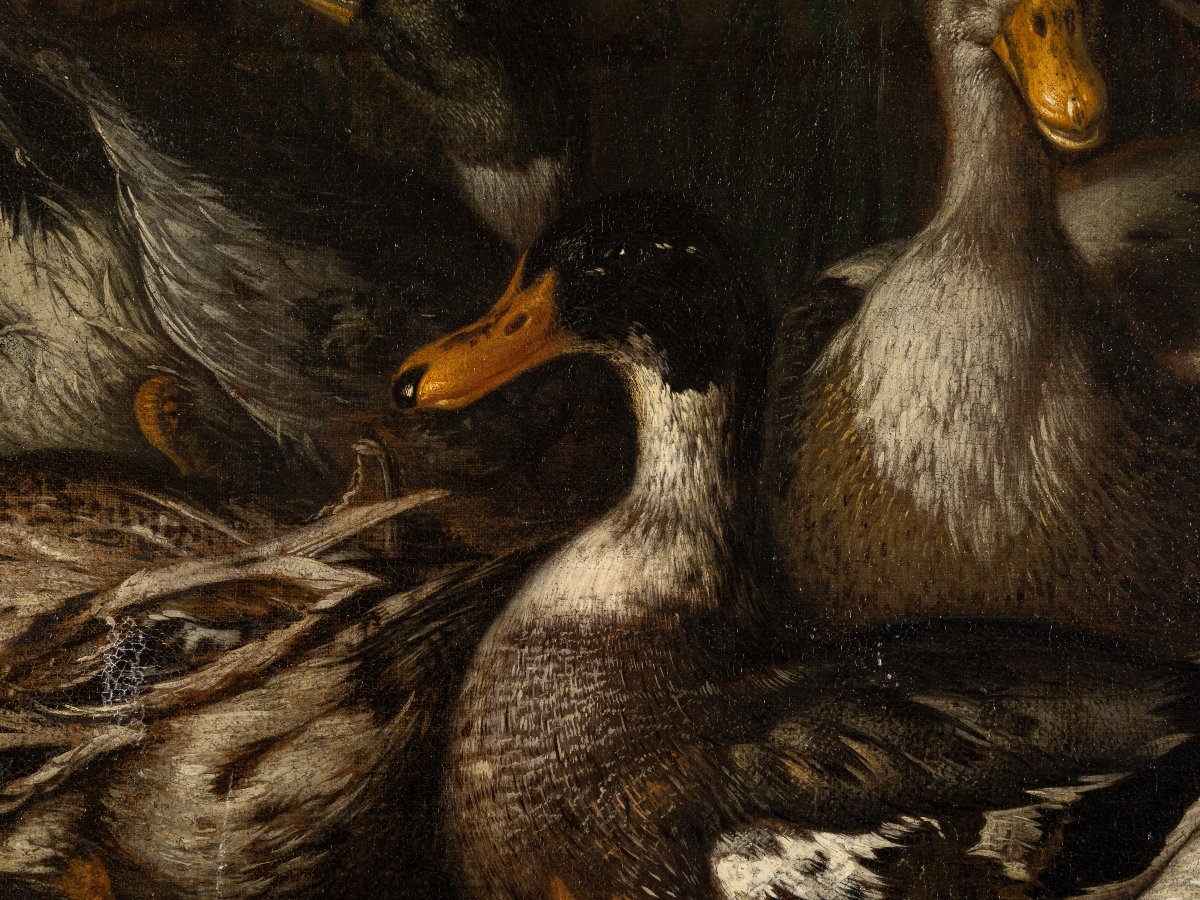 Nature morte aux canards, école de Monsù Aurora, XIXe siècle, huile sur toile-photo-4