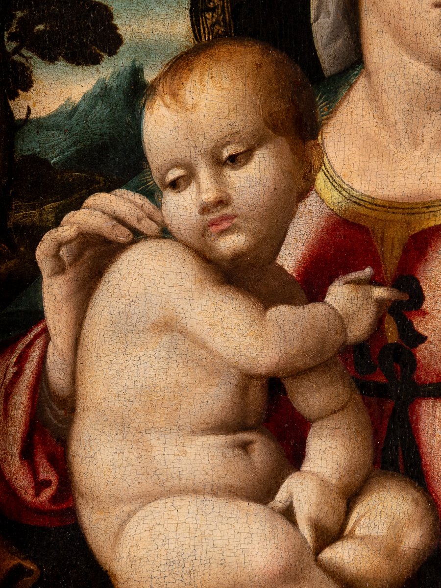 Vierge à l’Enfant en paysage, Huile sur panneau, Domenico Capriolo (Venice 1494 - 1528)-photo-2