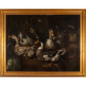 Nature Morte Aux Canards, école De Monsù Aurora, XIXe Siècle, Huile Sur Toile