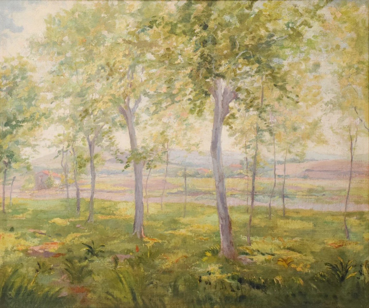 Domingo Soler Gili - 'a Hazy Summers Day'