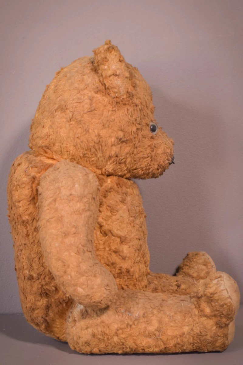 Teddy - Vintage-photo-4