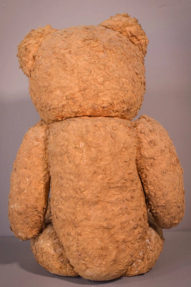 Teddy - Vintage-photo-1