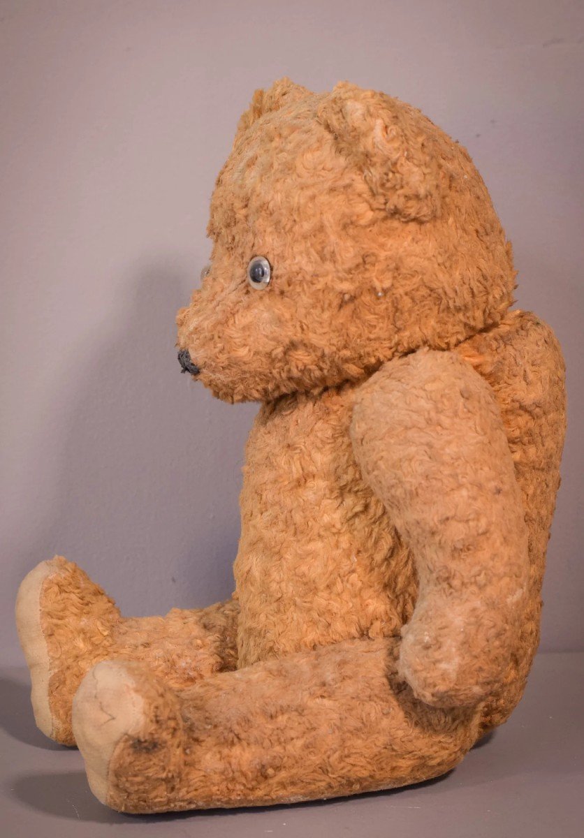 Teddy - Vintage-photo-2