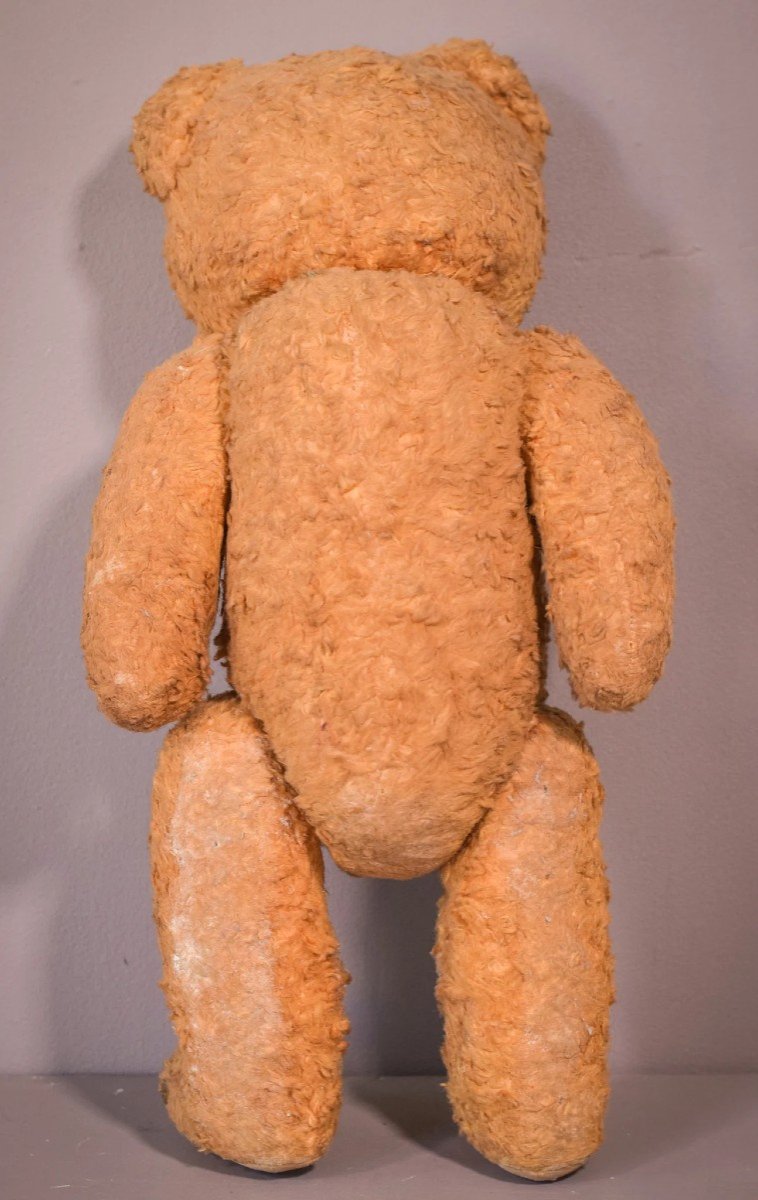 Teddy - Vintage-photo-4