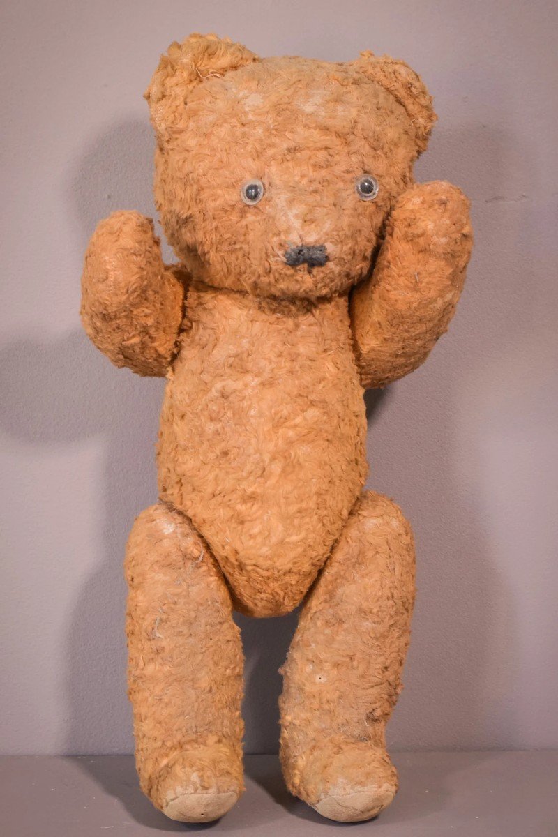 Teddy - Vintage-photo-5