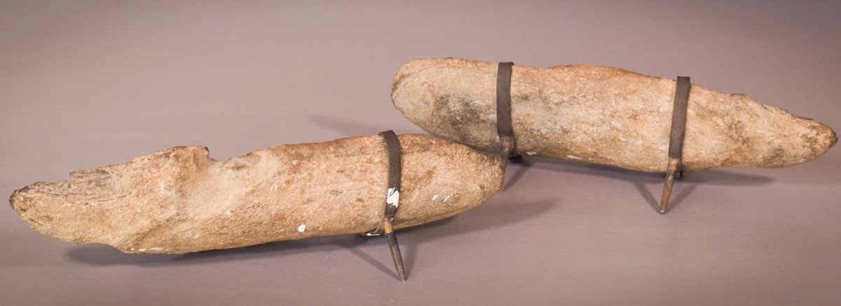Two Sides Of A Fish Fossil - (possibly An Aspidorhynchus Aspidohyachus Comptoni)-photo-4