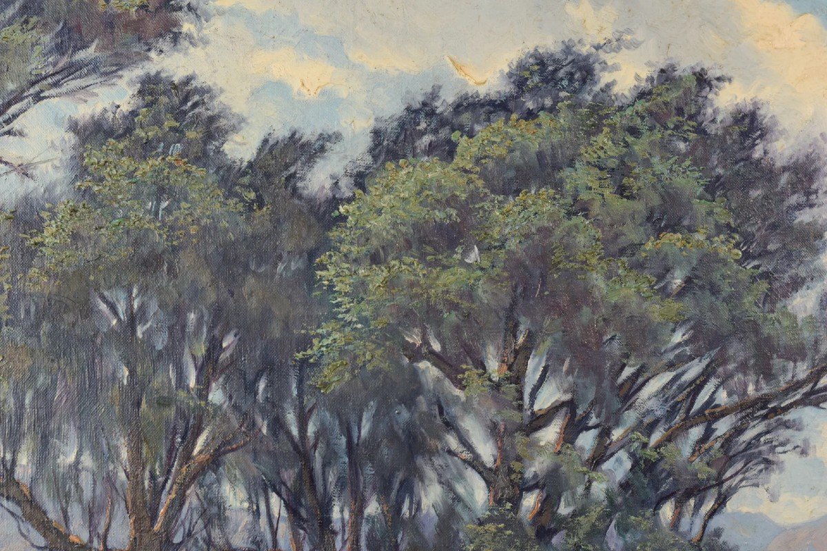 Ricard Tarrega Viladoms - 'viejos Olivos' ('old Olive Trees')-photo-3