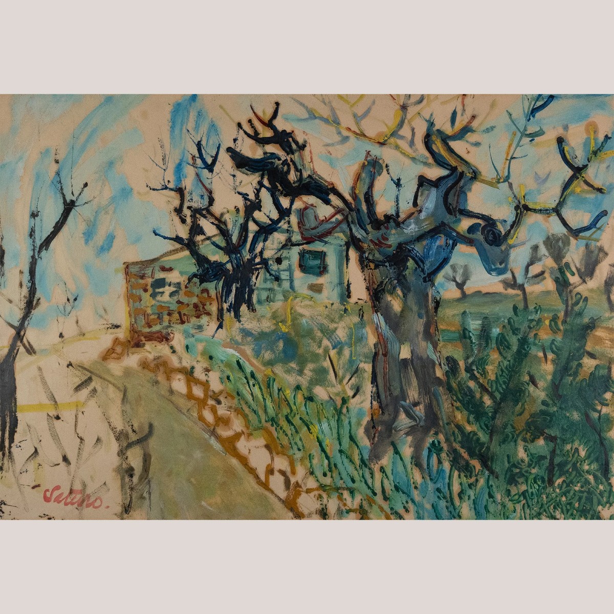 Chemin De Vigne Hivernal Aux Arbres Nus – Saturo