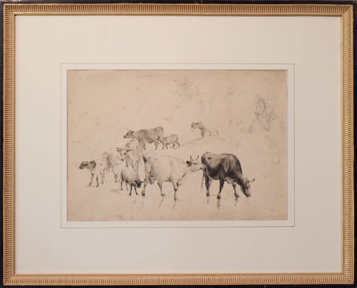 Study Of Cattle And Sheep – Thomas Sidney Cooper Or Follower-photo-2